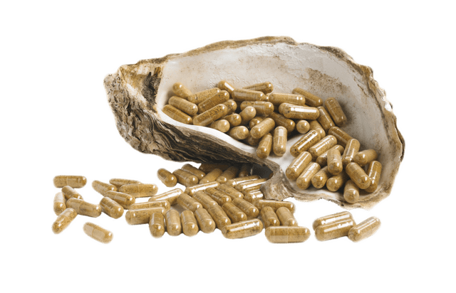 Pure oyster extract capsules in a shell
